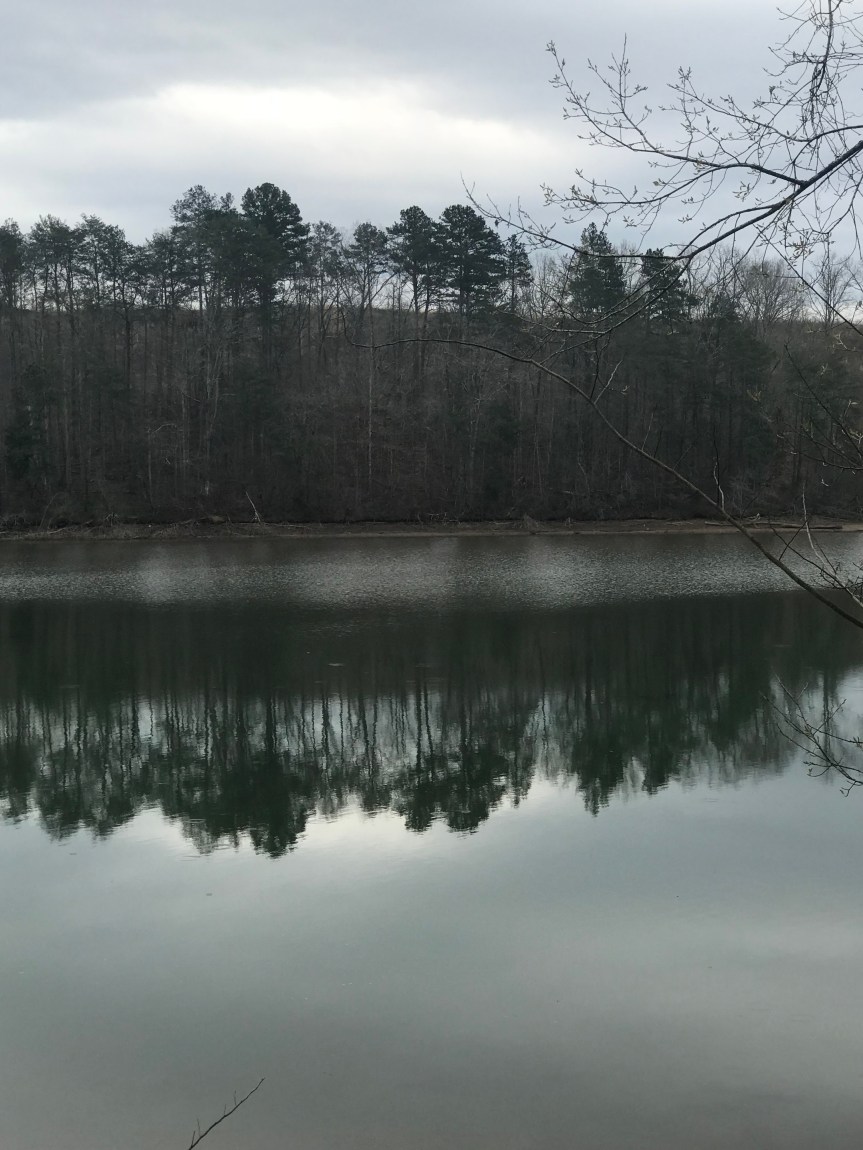 9817CA03-C52C-45C0-9257-2D66A91D3796