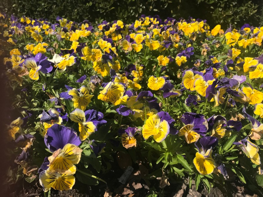 046D2EC6-2786-4281-A894-E78F3C0C92C9