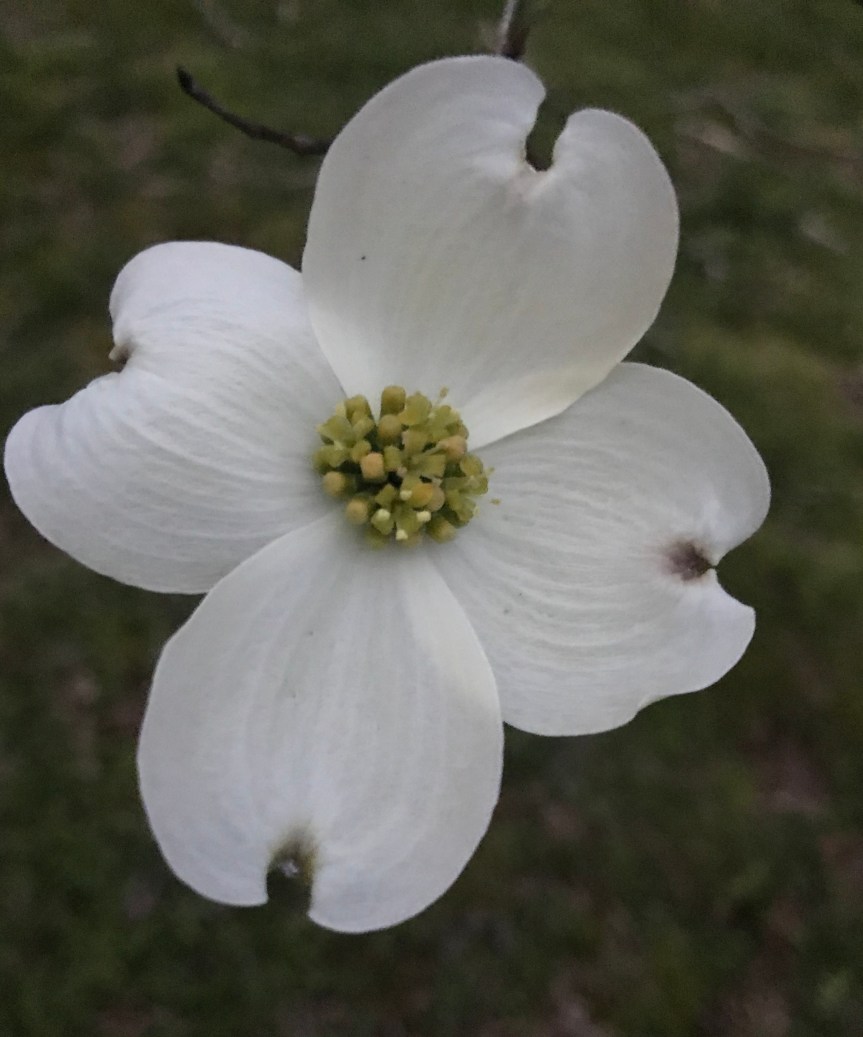 9770F422-47D9-4D8E-A037-62613E90596B