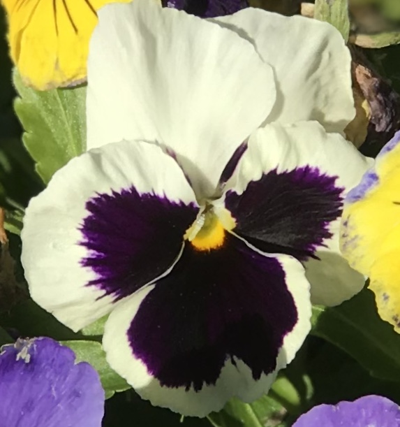 CE21B5D8-4621-4FA9-A821-99BA10E05D1F