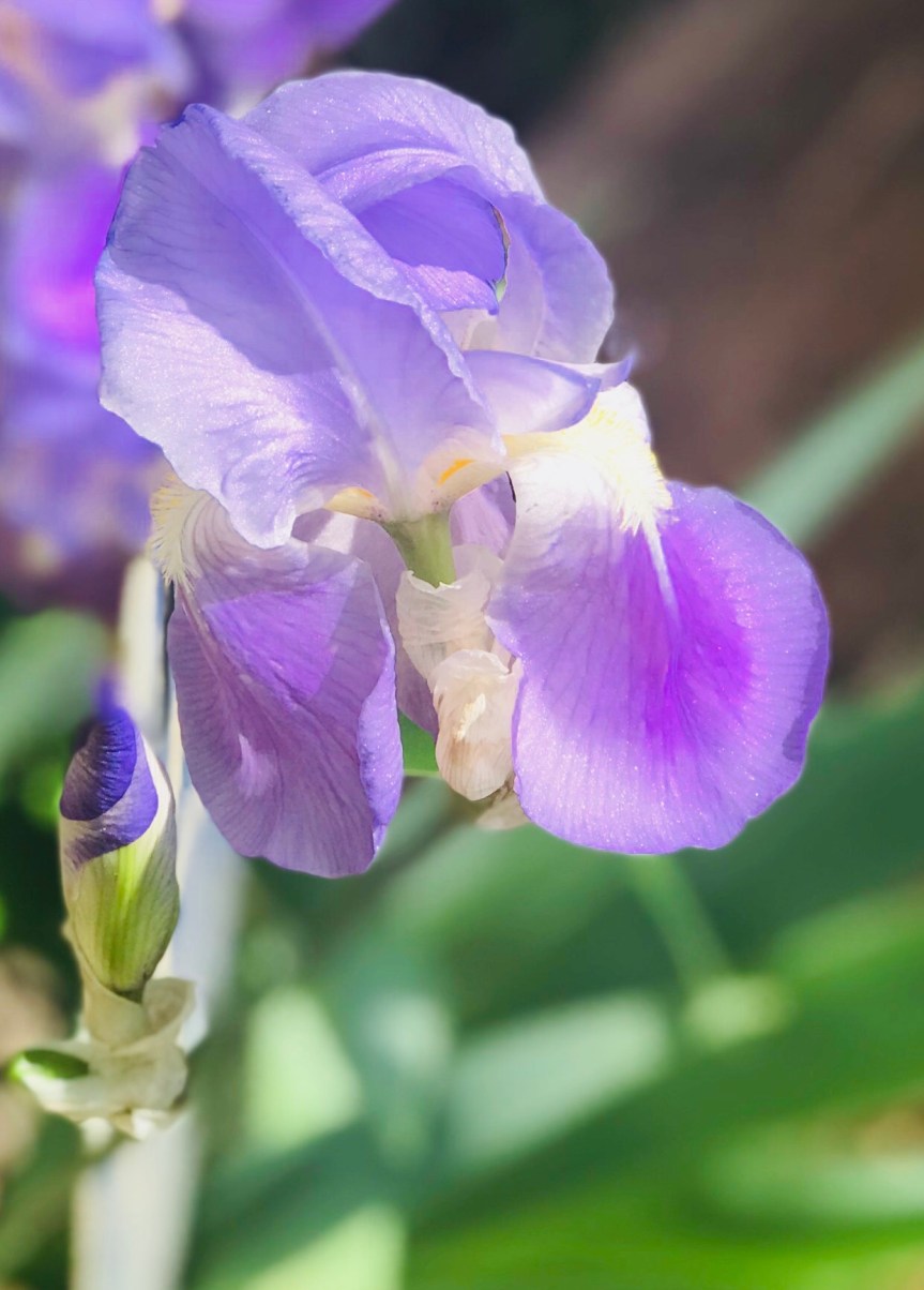 6D0ABB65-61AB-4389-8647-39D291C35D36