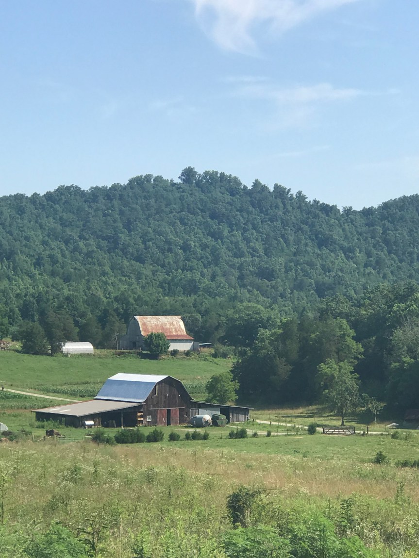 28A987A7-9CFE-4449-AB7B-EF15F613F1F5