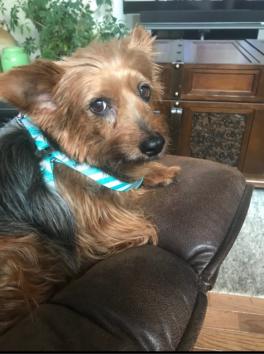 833E0215-19FC-4F3F-8ECA-37E3BB946B62