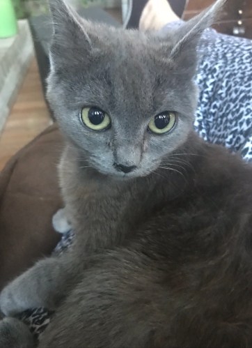 6B41CE5D-5816-47F6-916E-96C18816AE0B