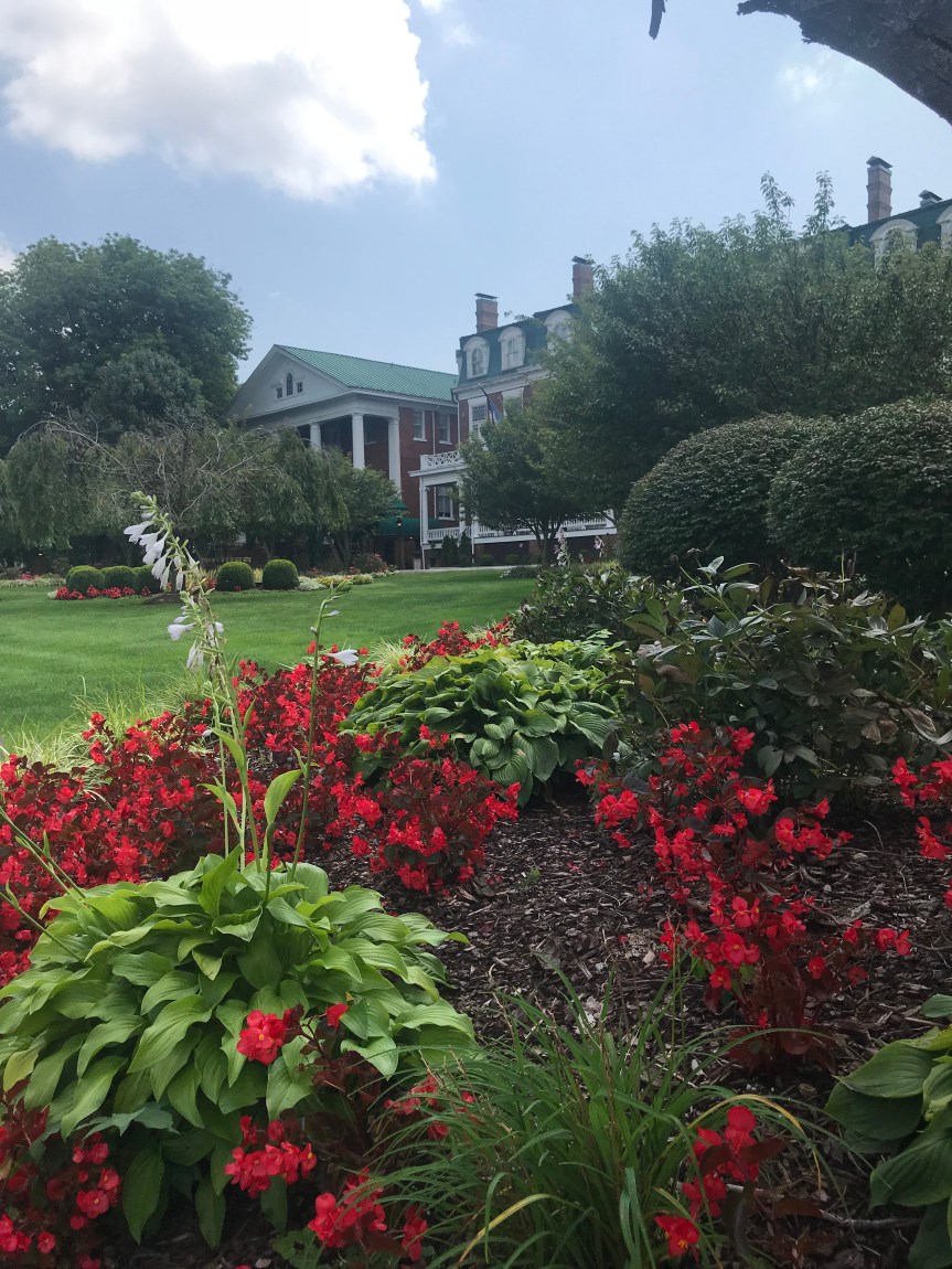 D7BAA495-7369-438F-AB22-2E35E9E341AA