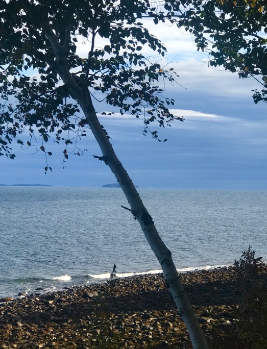 0D0A0DD1-0747-496E-B391-346F99B3F491