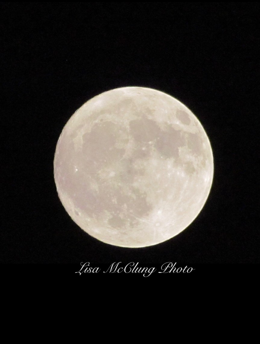 2794A24D-6F3C-4EEC-847A-602B32350240