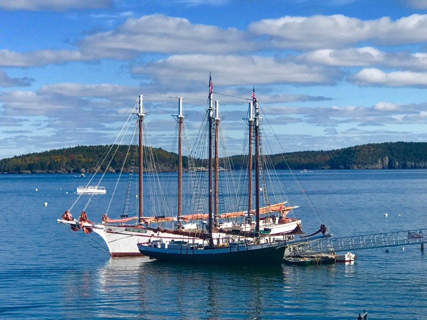 2EE5FC07-D79C-41AA-A71F-33F6B85C396C