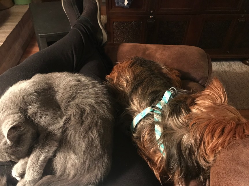 43FED3B2-077C-417A-ABA3-1EB0E7496575