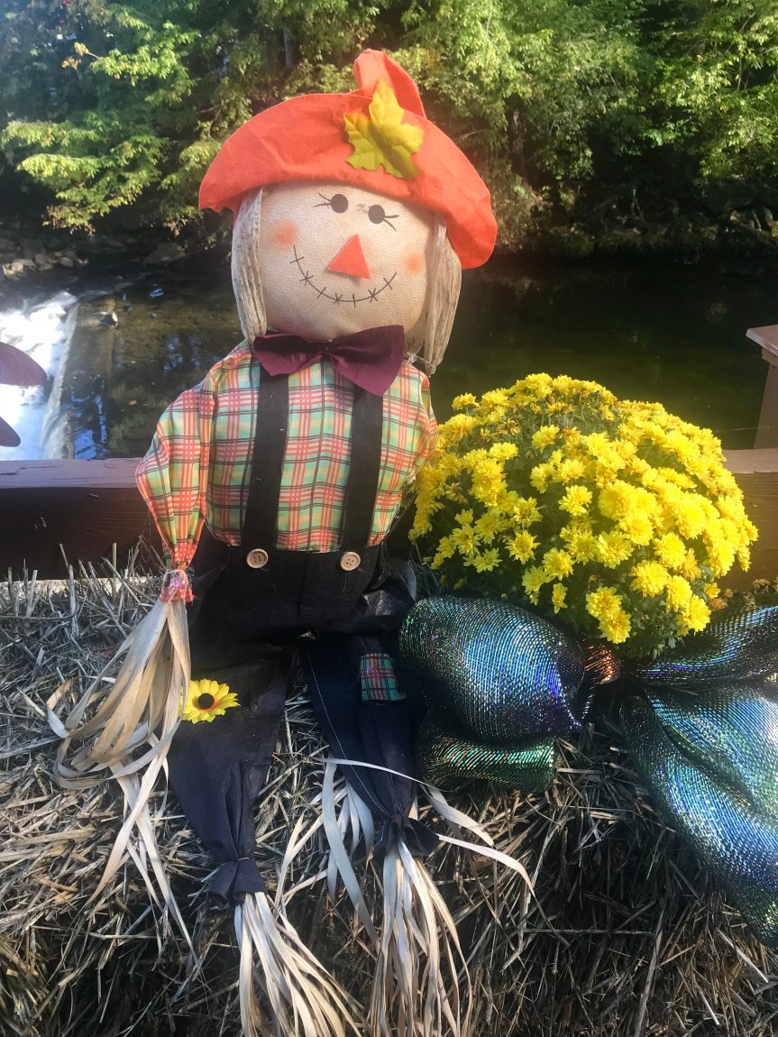 A8EED915-B55F-4E77-81A3-1FC9BAF1E404