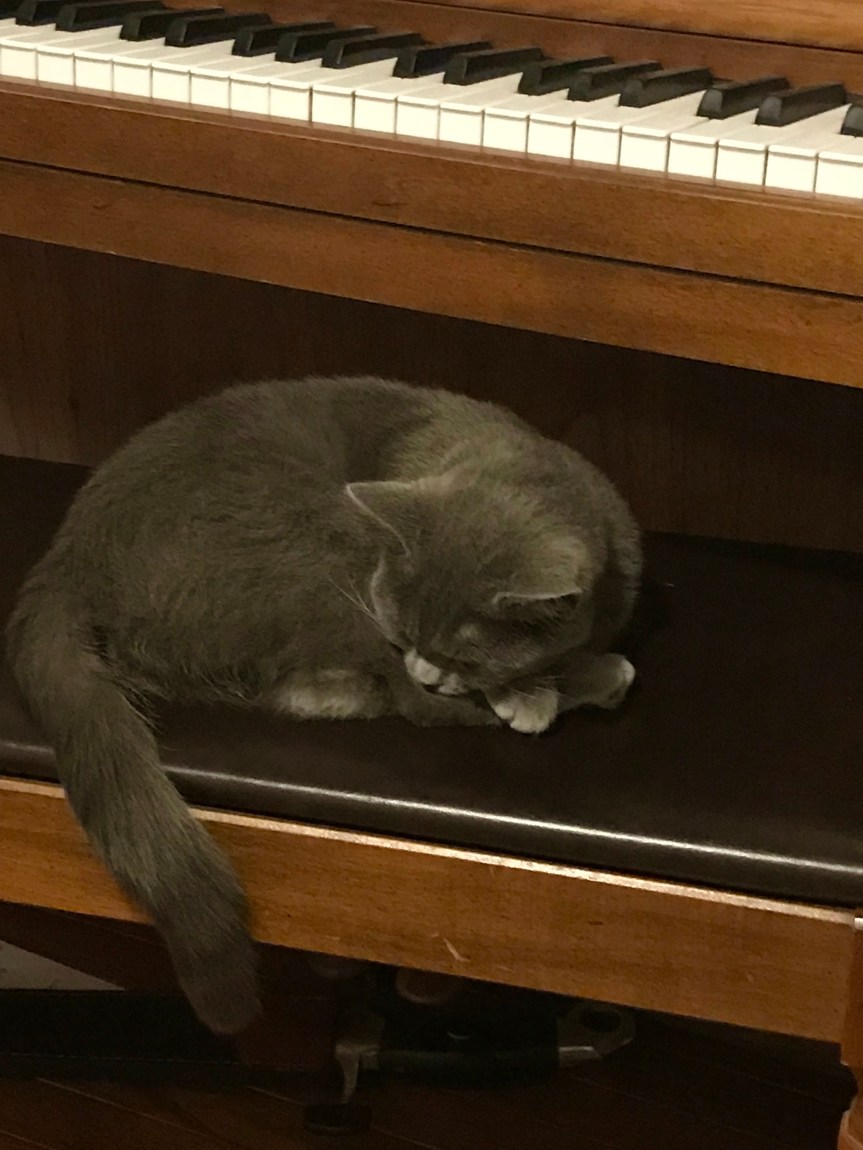 C9D95E48-DD13-448B-8A90-AB9CB6BE15C7