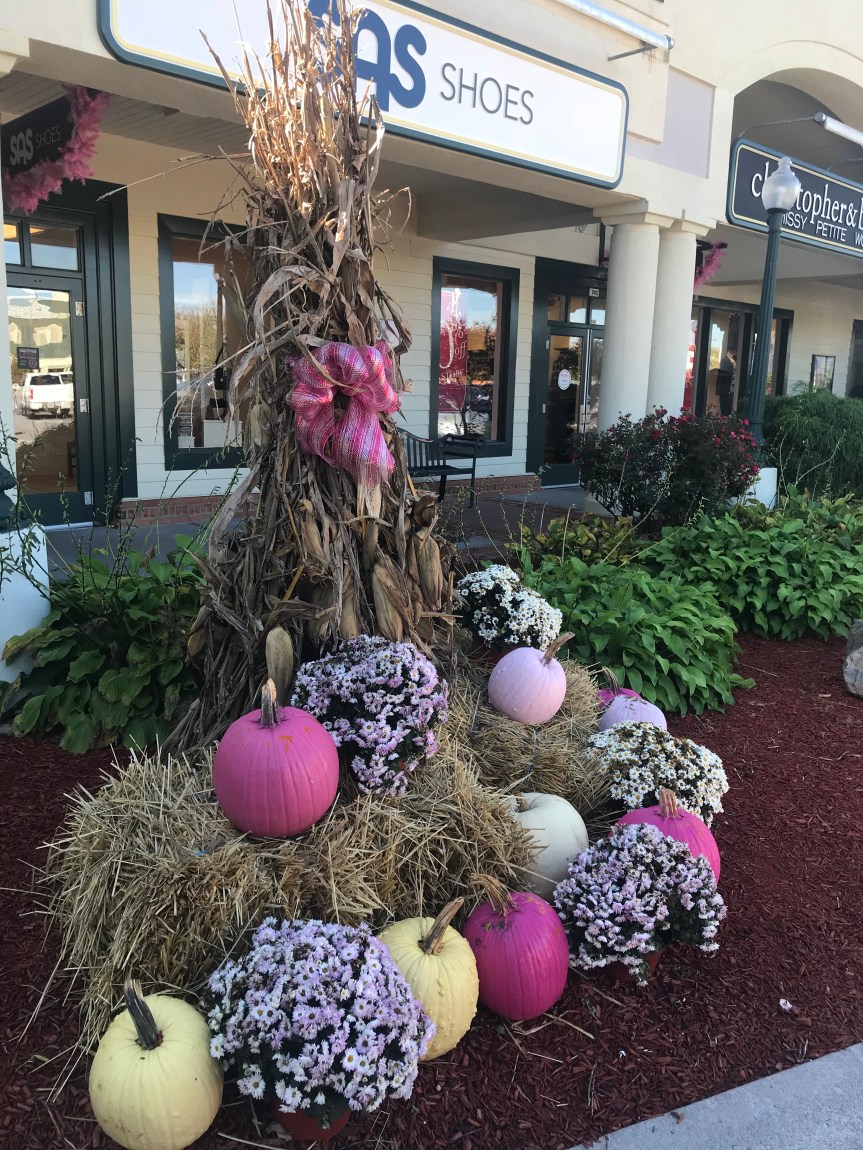 CE87532F-0FA9-4481-AE0B-50AD7226E975