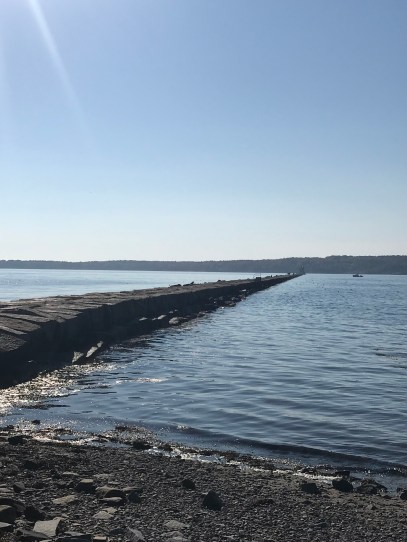 D7D42178-77EF-49FB-B133-16F5C5984782