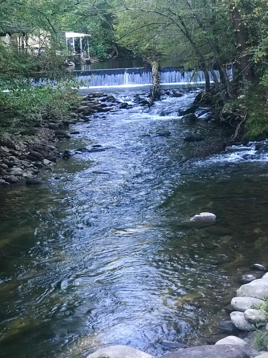 DC4EFF5A-355E-47A6-A7EE-301D0ECADD3A