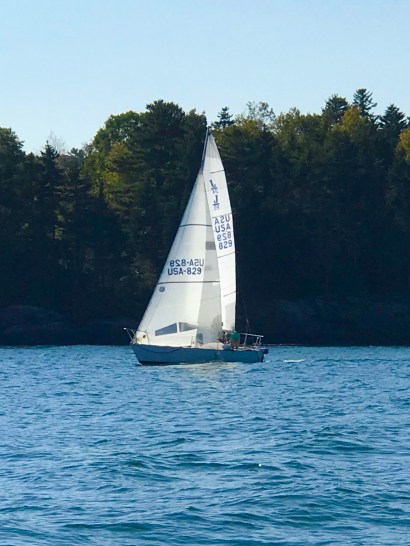 FCEB89ED-1F11-4AB9-8DD4-3BB873FFFF23