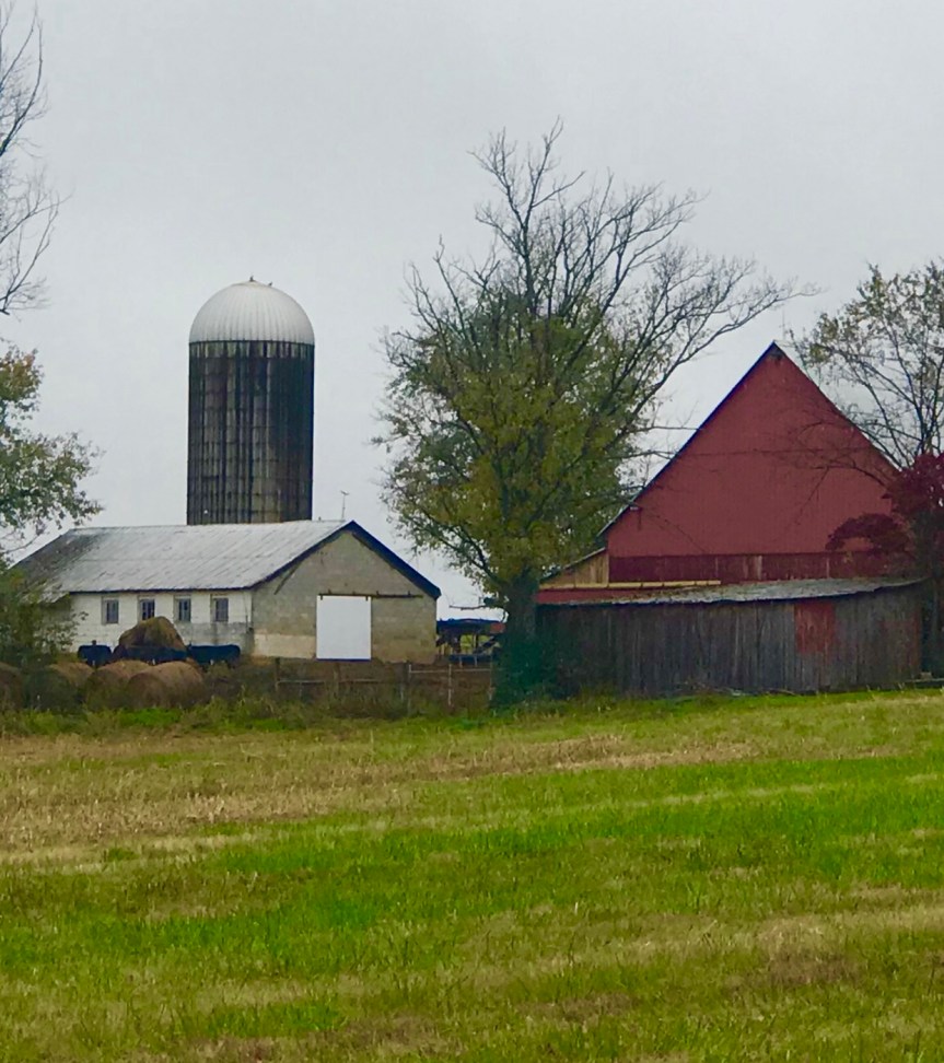 24B98451-E2CB-4AA3-BD03-B366DCAA8945