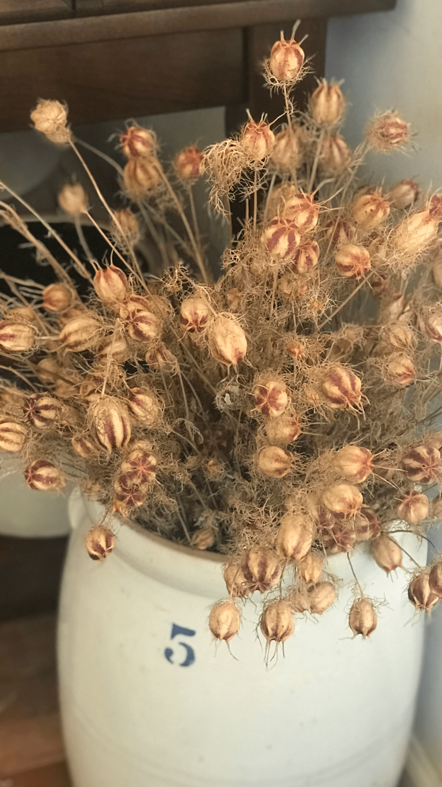 43B7C4B1-C992-4F17-8CE9-AFDB70BF12AF