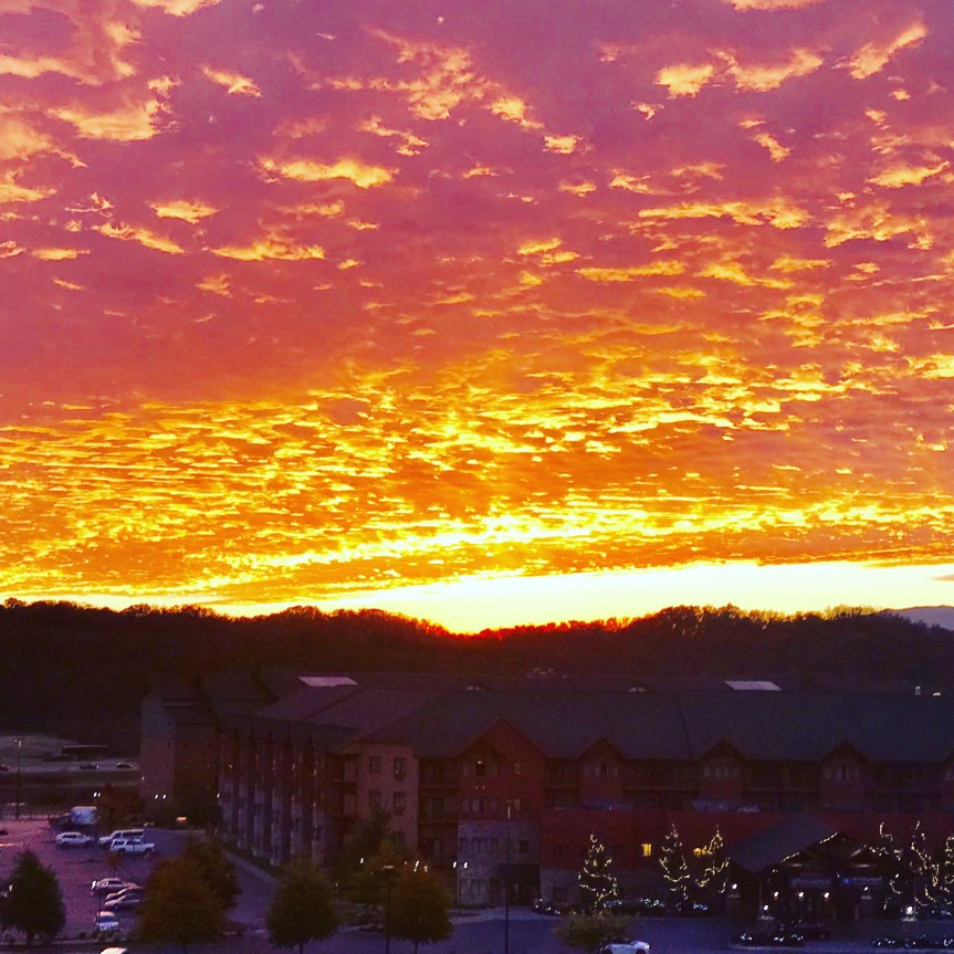 8302EAD1-FD9A-45C2-ABF6-D4236F9ADE35