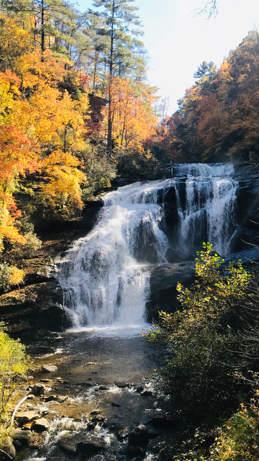 CCB48C43-FED1-4BE3-A158-19F5F4931C7B