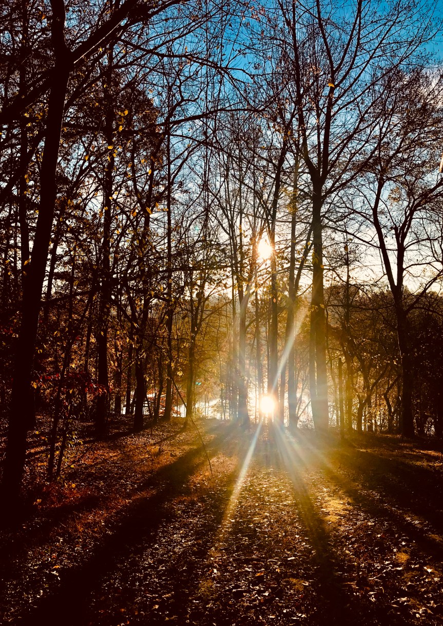 E9309BFC-4E63-49C9-9810-090A3E6F08A1