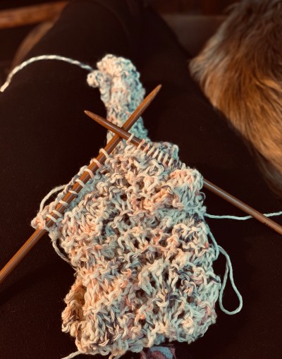 00d8118a-64d3-4004-a53a-bbb0ade61717