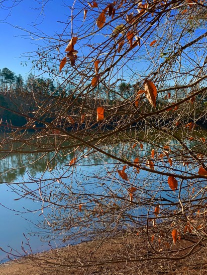 041872fd-bb6b-44f7-be0c-29b2d5592e46