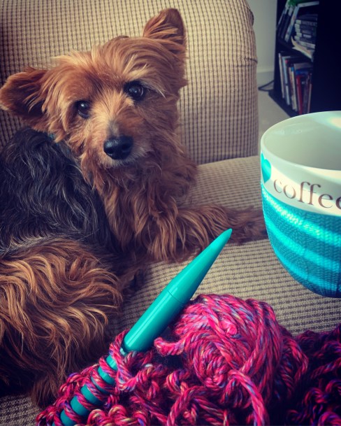 78b0e481-5013-446a-a918-c6c9faf78346