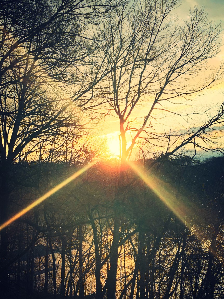 12E9A7F1-59B1-463F-B5F1-9F78FC7C7105