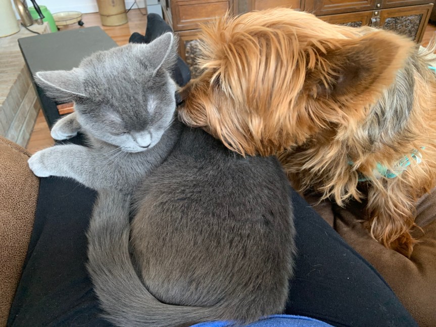 C4F692E4-5A95-4682-BC35-D11E22CD3F9A