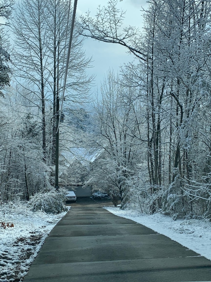 D95C6DA8-DD5C-4481-815D-157C7DB84EDA