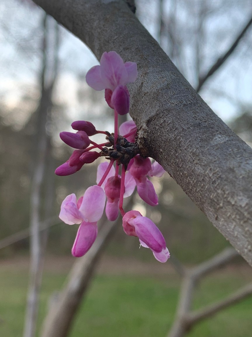 877564D2-2153-4C26-B1FE-898C1AD2599D