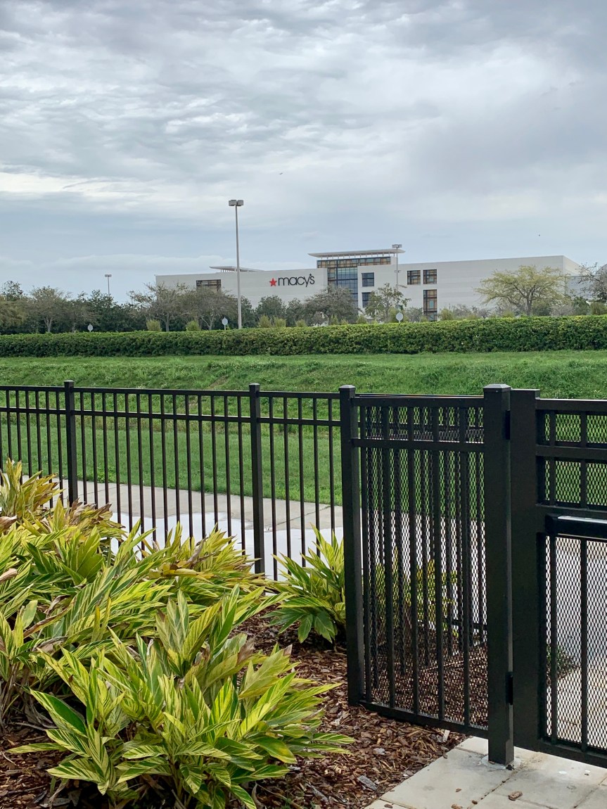 992D60DE-B35F-43A9-8519-0B68DCDEFC96