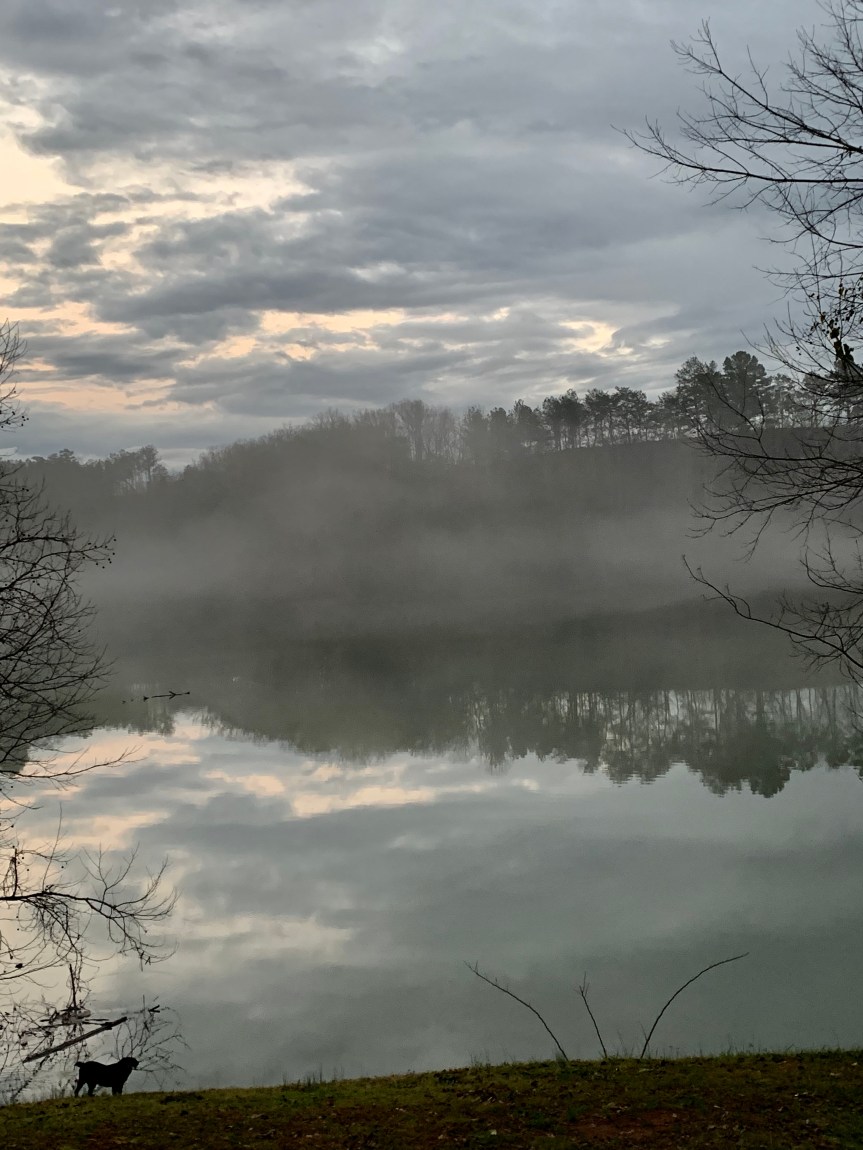 9CCA3967-2407-4379-BEFD-1C4610DEF2D1