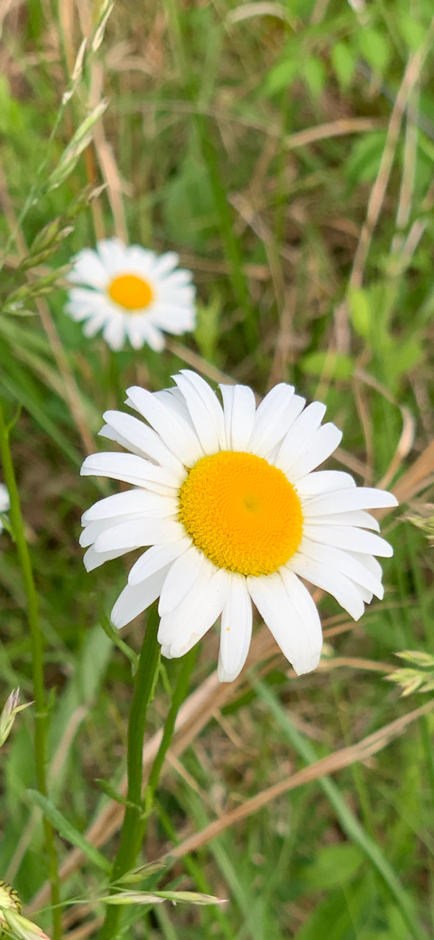 59389CAF-1E3D-4C1E-A458-48227844D794