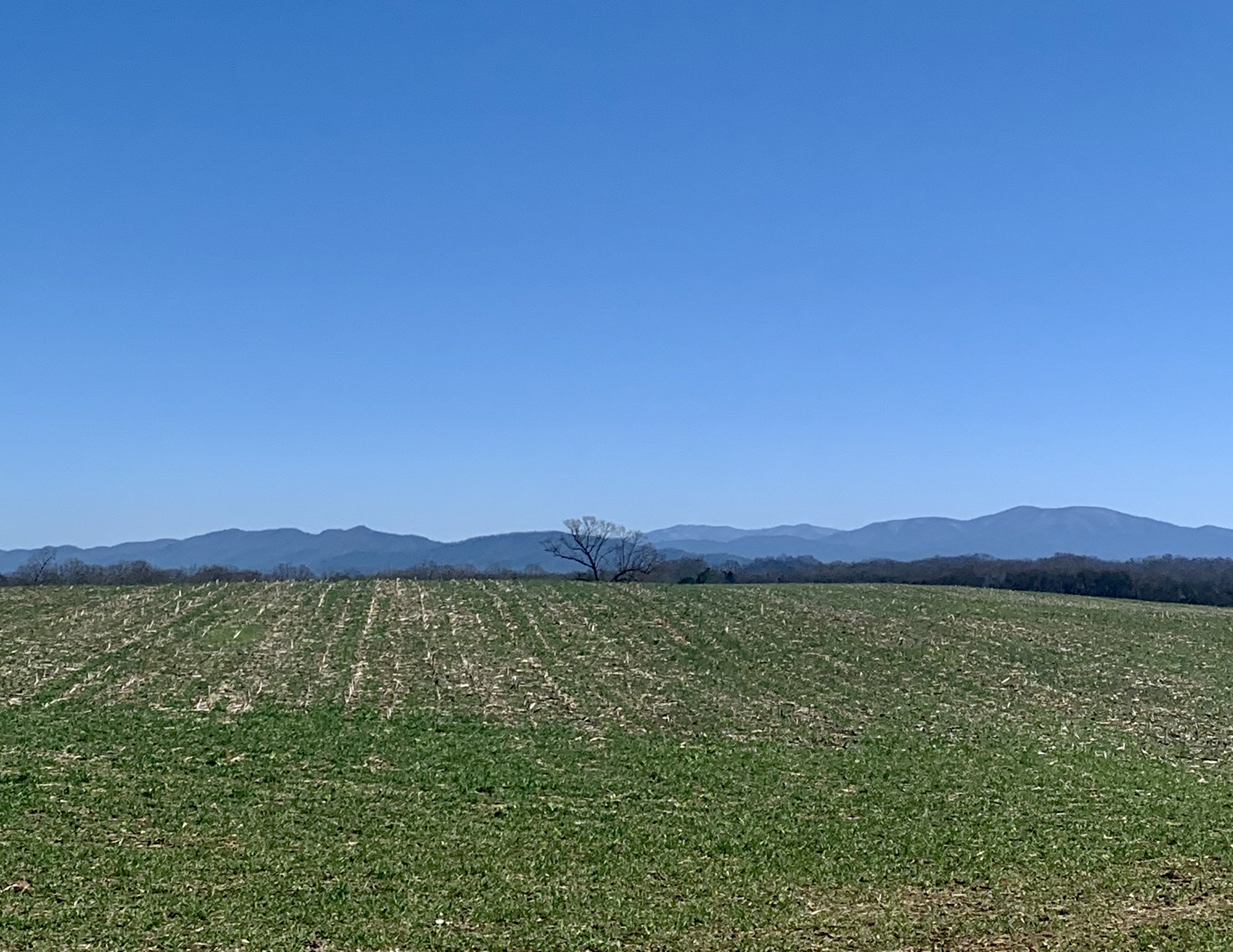 17970733-8AEE-4ABD-96F9-2F73A34E9EC5_1_201_a