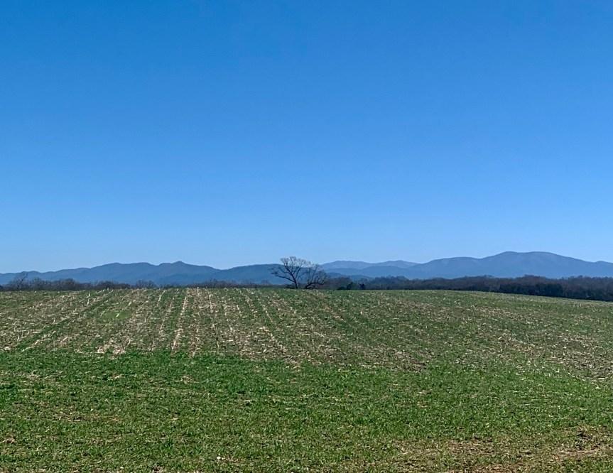 17970733-8AEE-4ABD-96F9-2F73A34E9EC5_1_201_a