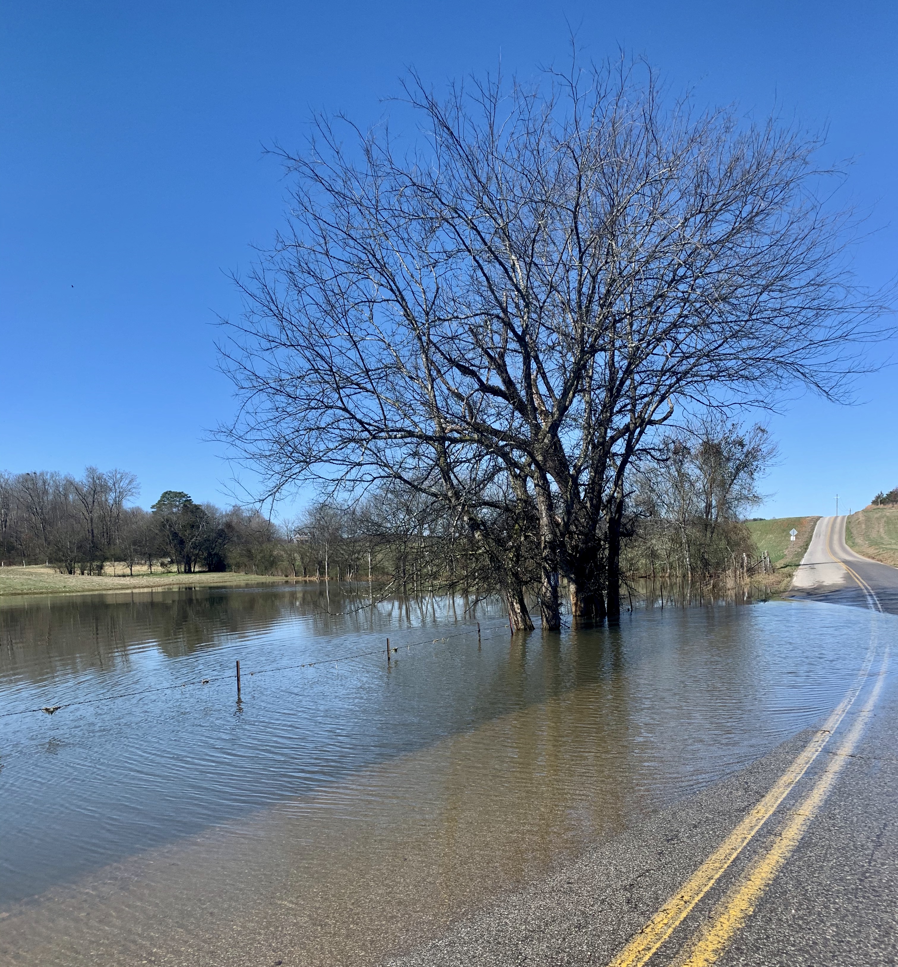 5347360A-97ED-4F5D-AD68-23DF6F9C7269_1_201_a