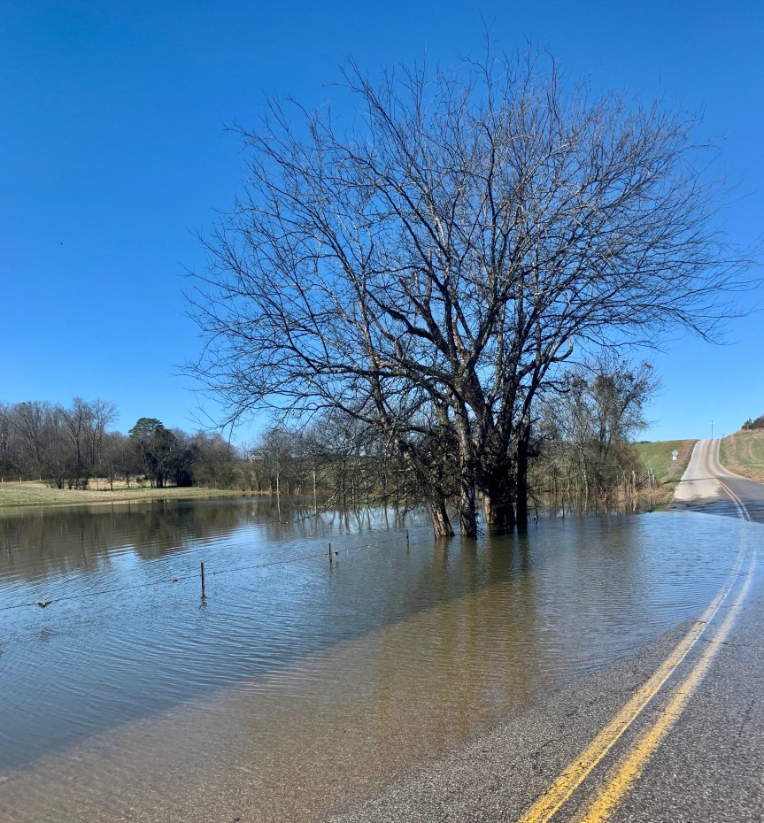 5347360A-97ED-4F5D-AD68-23DF6F9C7269_1_201_a