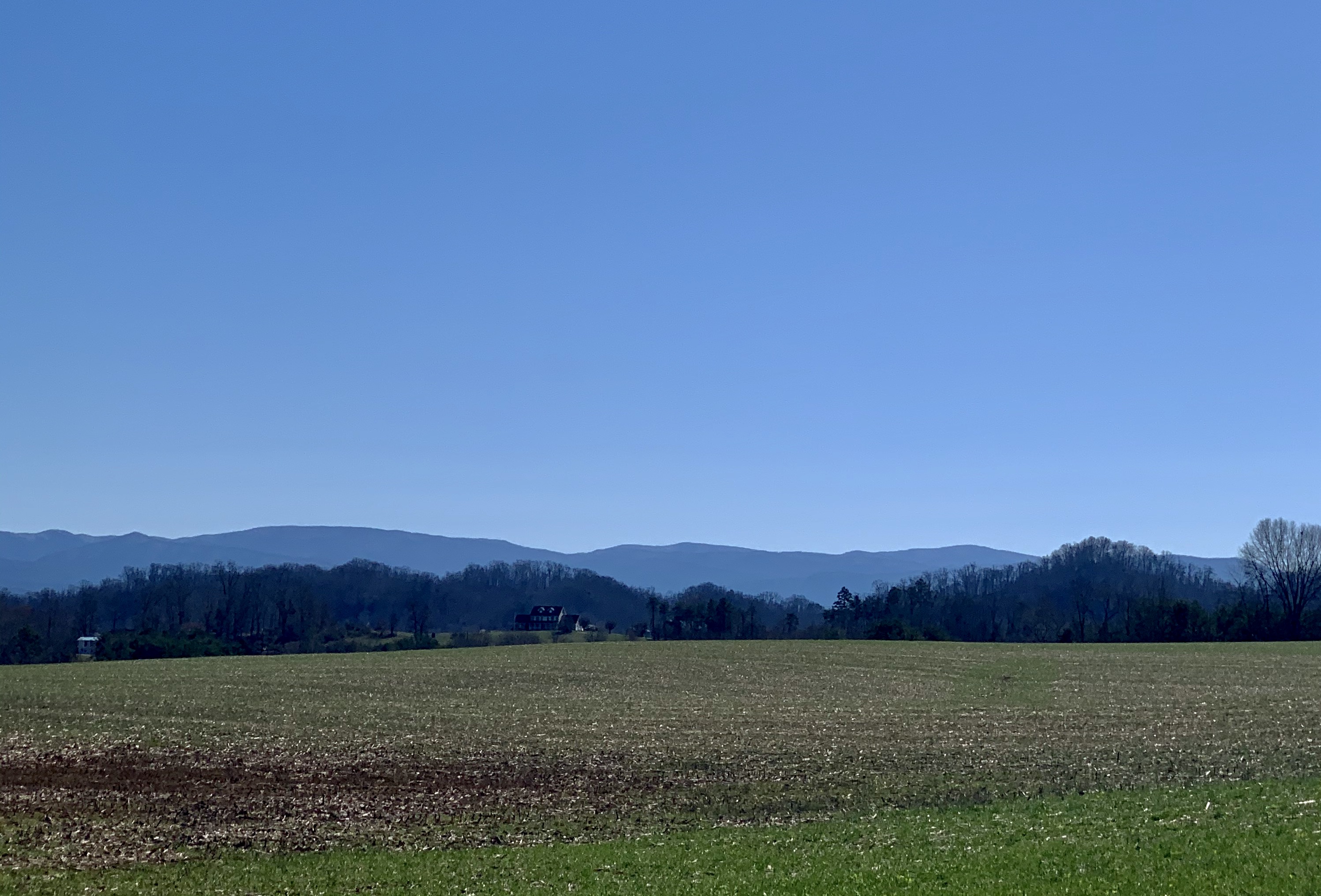 897854F7-E28A-4821-809A-927AA4C4B96D_1_201_a