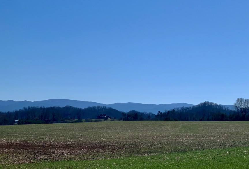 897854F7-E28A-4821-809A-927AA4C4B96D_1_201_a