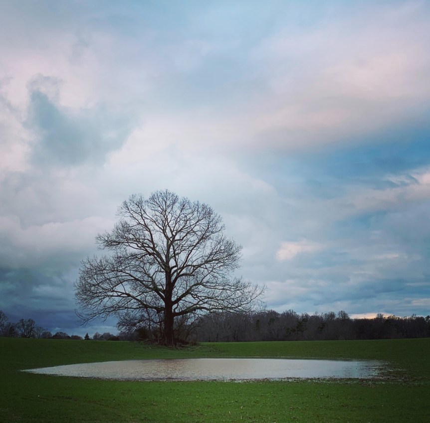 CFE24900-AF11-4B16-BB30-EBB3BE8A837C_1_201_a