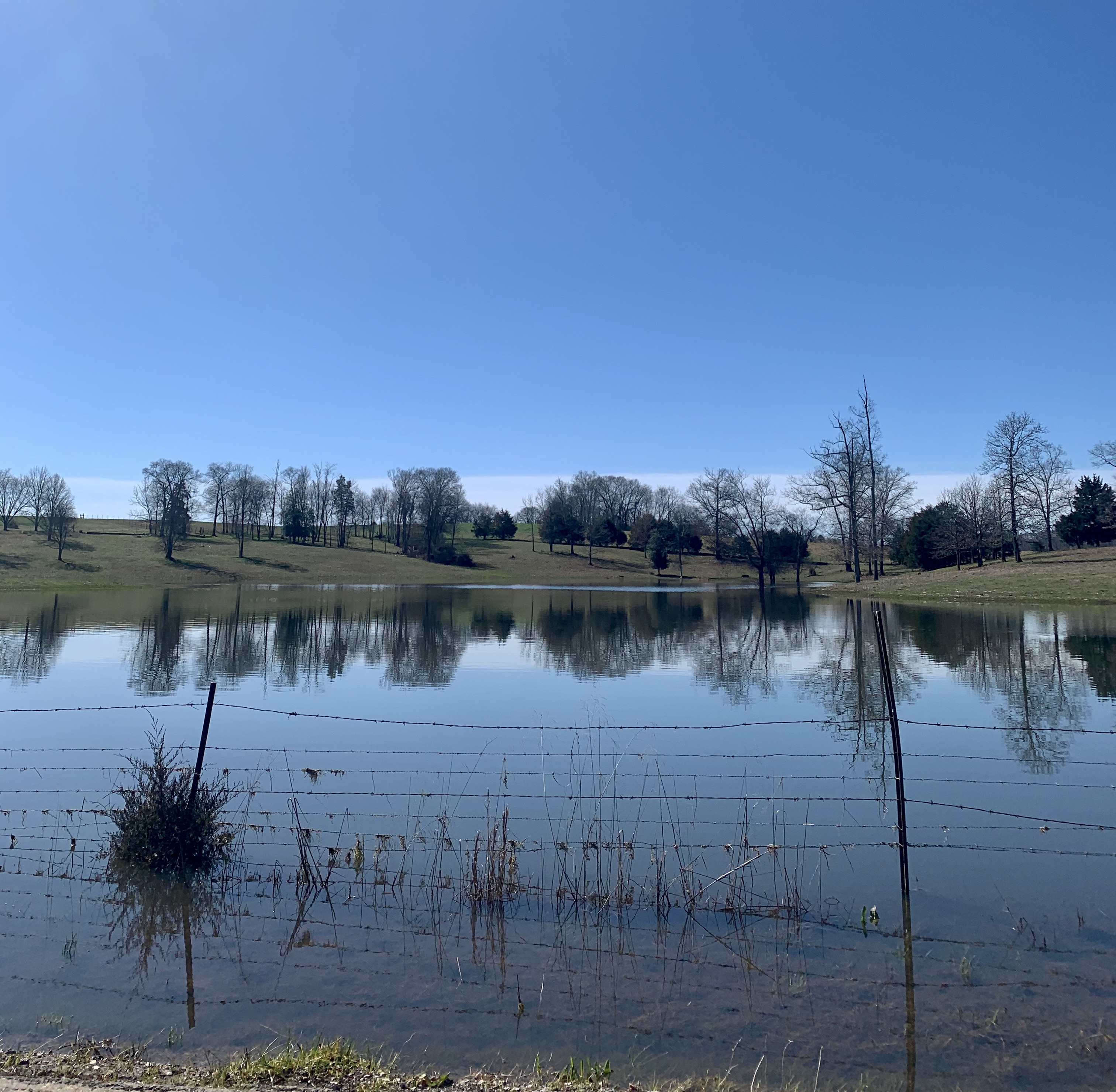 EE841DD6-36B6-498E-9E3E-BCD190DCBAD4_1_201_a