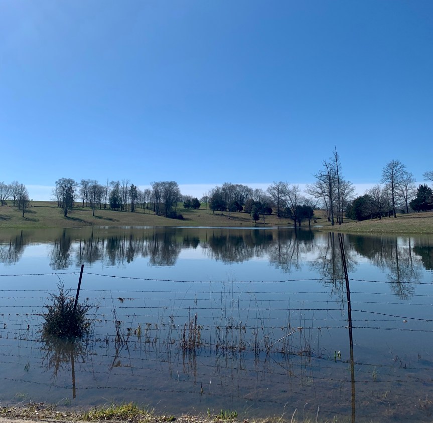 EE841DD6-36B6-498E-9E3E-BCD190DCBAD4_1_201_a