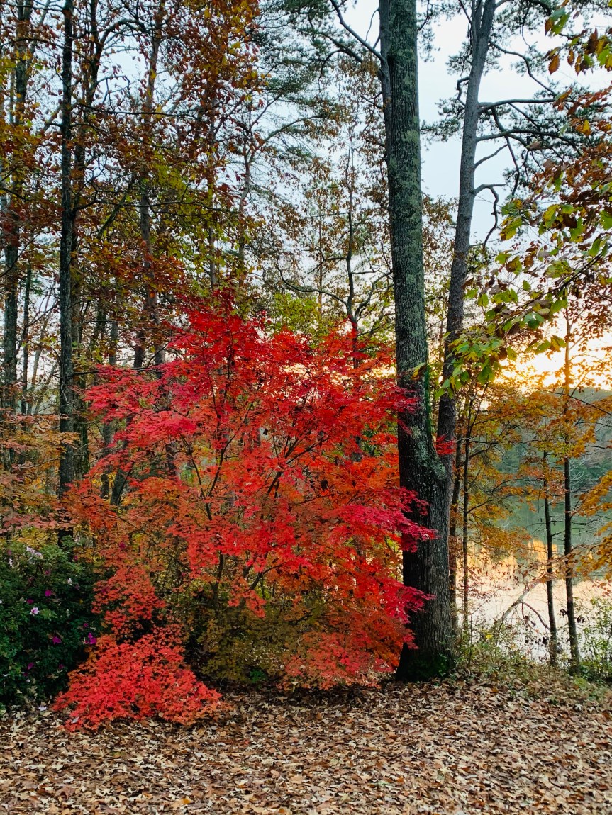 Another Sister Trip In The Books.&nbsp;2020