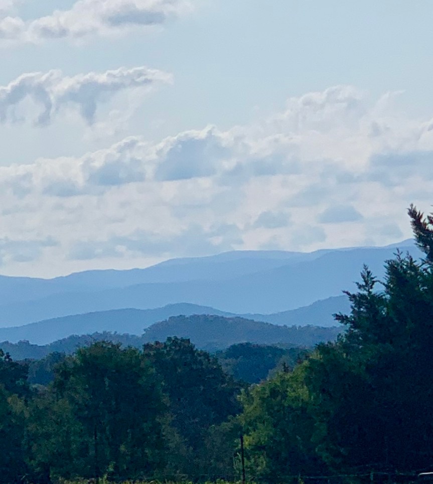 In The Blink of an&nbsp;Eye