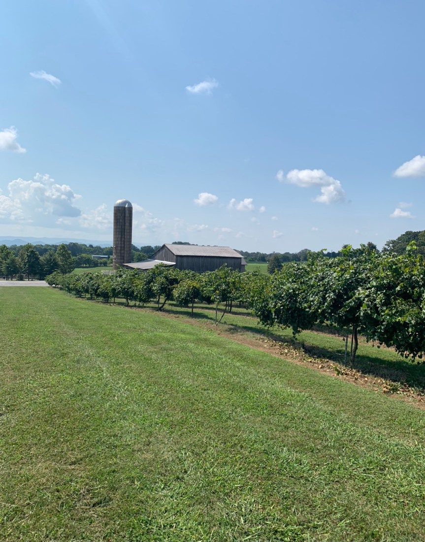 Home Again, Home&nbsp;Again