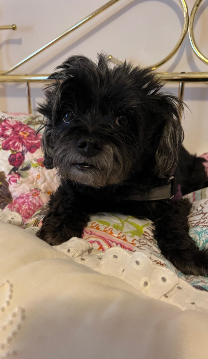 Christmas Time and A Scary&nbsp;Time