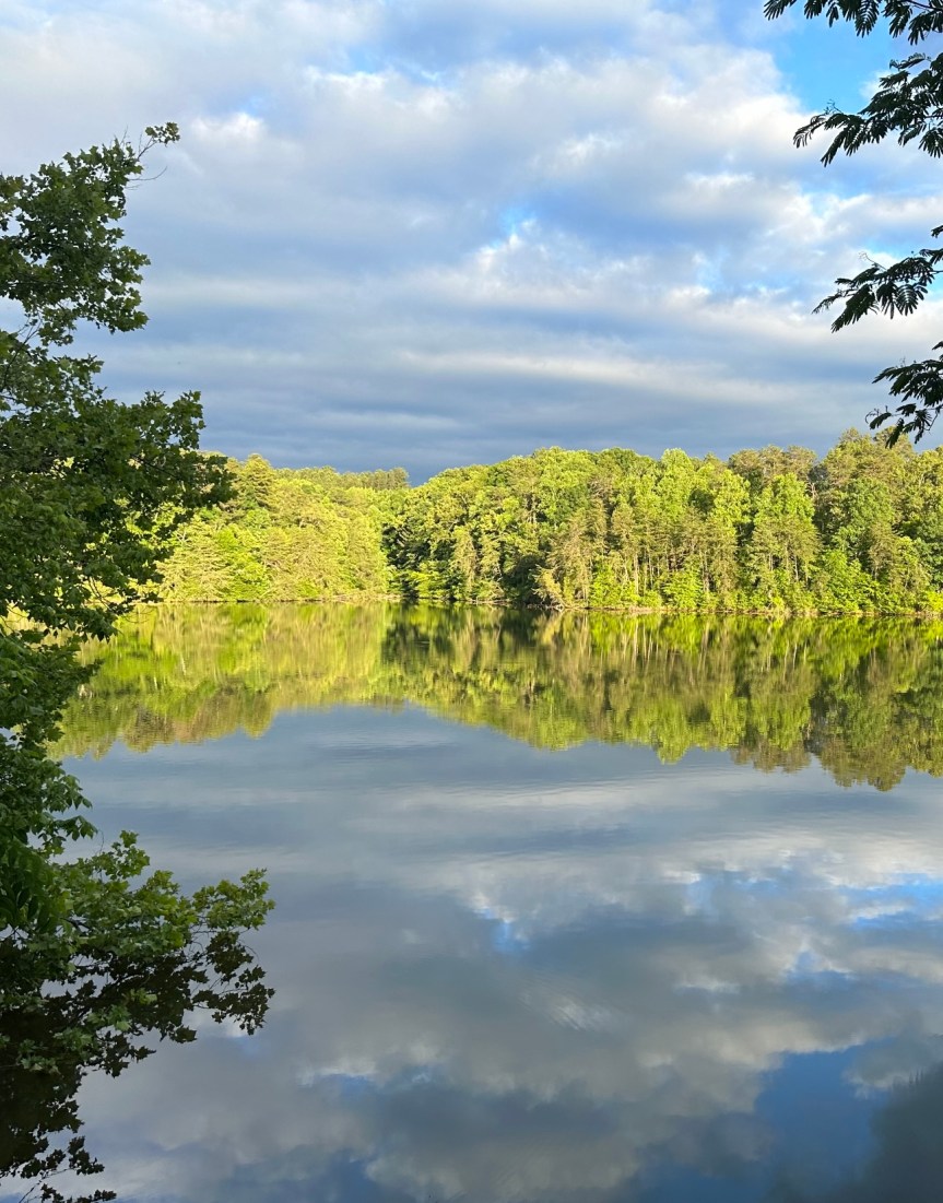 Wordless Wednesday 6-7-23