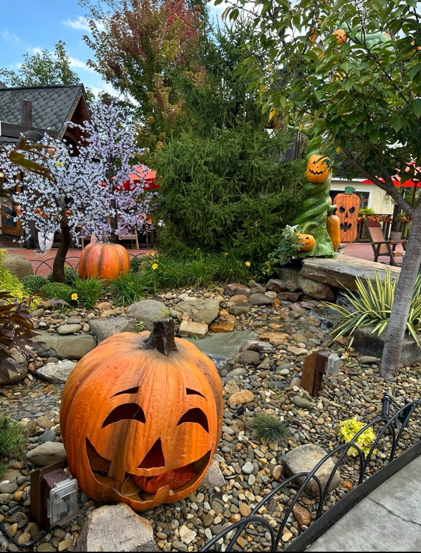 Friday Favorites: Sister&nbsp;Trip