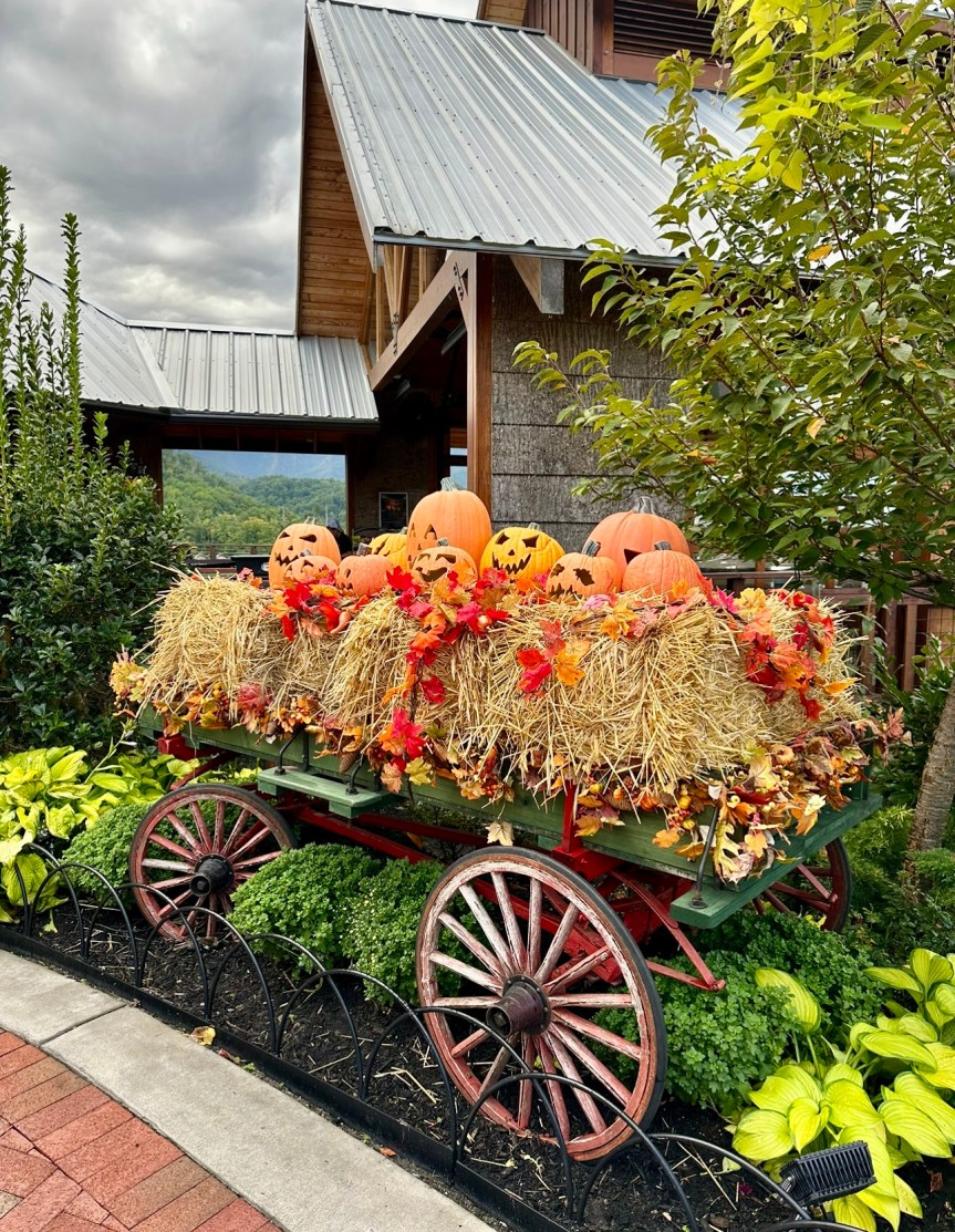 Visiting Anakeesta in Gatlinburg&nbsp;TN